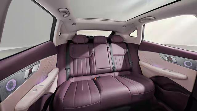 5款SUV纯电最高655km综合破1600km冰球突破爆百万大奖年底购车必看！15万拿下这(图11)